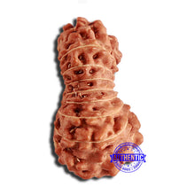 Load image into Gallery viewer, 18 Mukhi Rudraksha from Indonesia - Bead No. 226
