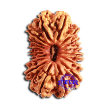 Load image into Gallery viewer, 18 Mukhi Rudraksha from Nepal - Bead No. 59
