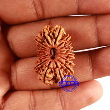 Load image into Gallery viewer, 18 Mukhi Rudraksha from Nepal - Bead No. 59
