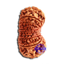 Load image into Gallery viewer, 18 Mukhi Rudraksha from Nepal - Bead No. 59
