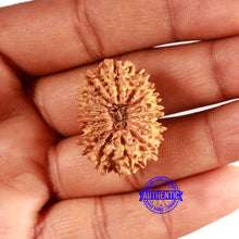 Load image into Gallery viewer, 18 Mukhi Rudraksha from Nepal - Bead No. 58
