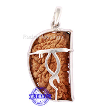 Load image into Gallery viewer, 1 Mukhi Rudraksha in Pure Silver Pendant - Bead No. 32
