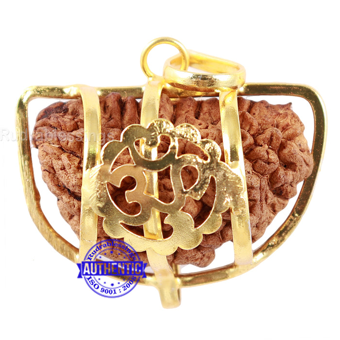 1 Mukhi half moon shaped from India - Bead No. 13