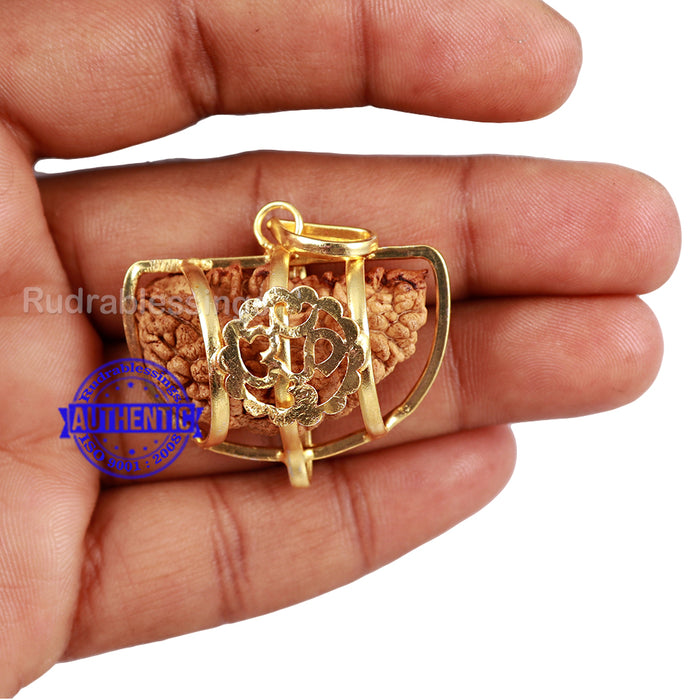 1 Mukhi half moon shaped from India - Bead No. 2