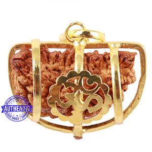 1 Mukhi half moon shaped from India - Bead No. 203