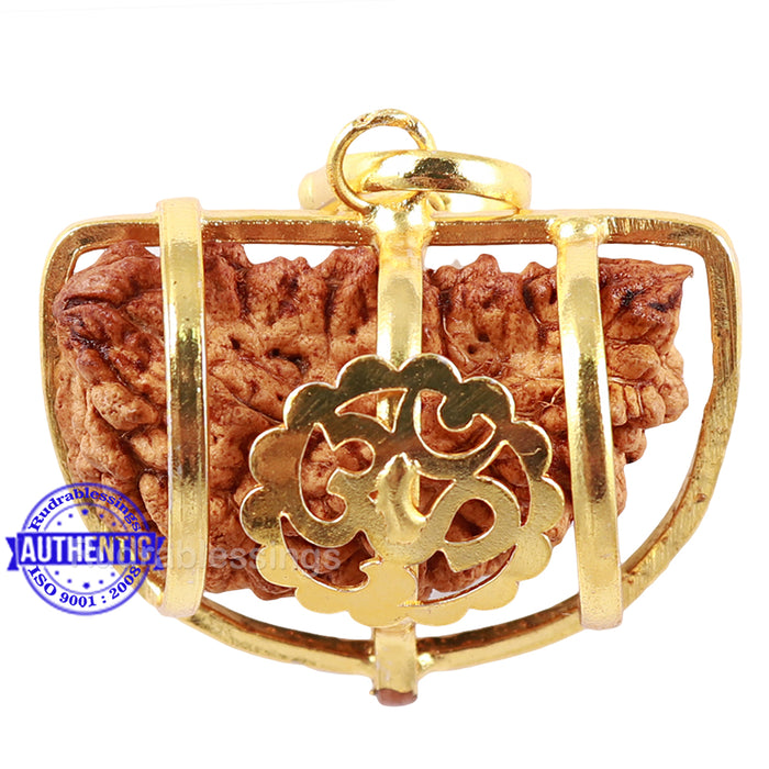 1 Mukhi half moon shaped from India - Bead No. 203