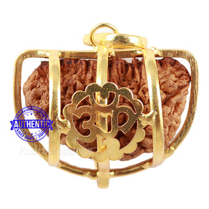 1 Mukhi half moon shaped from India - Bead No. 204