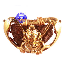 Load image into Gallery viewer, 1 Mukhi half moon shaped from India - Bead No. 277
