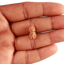 Load image into Gallery viewer, 20 Mukhi Indonesian Rudraksha - Bead 86
