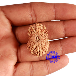 20 Mukhi Nepalese Rudraksha - Bead No 8