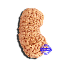 Load image into Gallery viewer, 20 Mukhi Nepalese Rudraksha - Bead No 8

