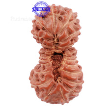 Load image into Gallery viewer, 22 Mukhi Rudraksha from Indonesia - Bead No. K
