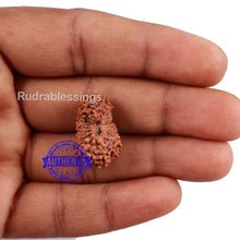 Load image into Gallery viewer, 22 Mukhi Rudraksha from Indonesia - Bead No S
