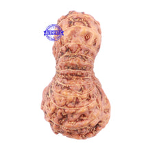 Load image into Gallery viewer, 24 Mukhi Rudraksha from Indonesia - Bead No. i

