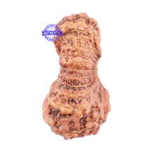 Load image into Gallery viewer, 24 Mukhi Rudraksha from Indonesia - Bead No. i
