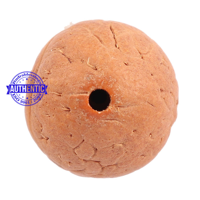 2 Line Buddha Chitta - Bead No. 1