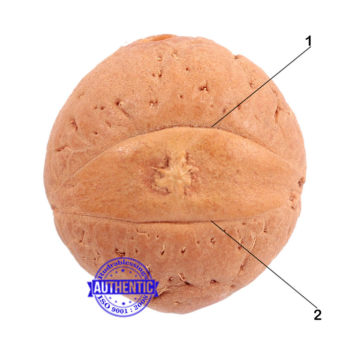 2 Line Buddha Chitta - Bead No. 10