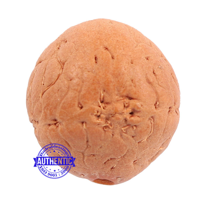 2 Line Buddha Chitta - Bead No. 10