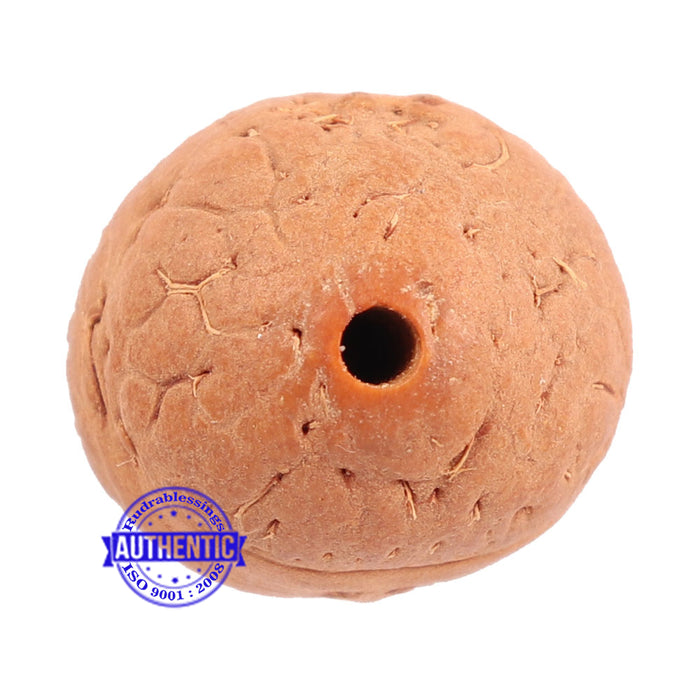 2 Line Buddha Chitta - Bead No. 10