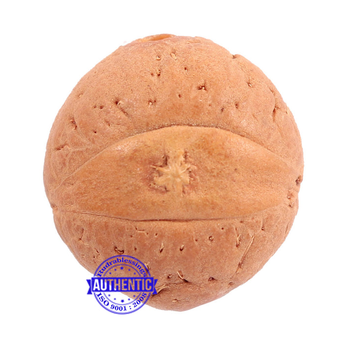 2 Line Buddha Chitta - Bead No. 10