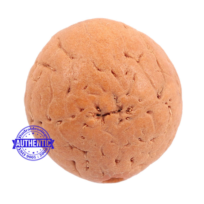 2 Line Buddha Chitta - Bead No. 11