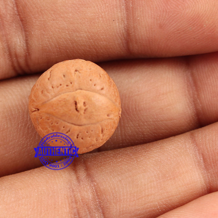 2 Line Buddha Chitta - Bead No. 12