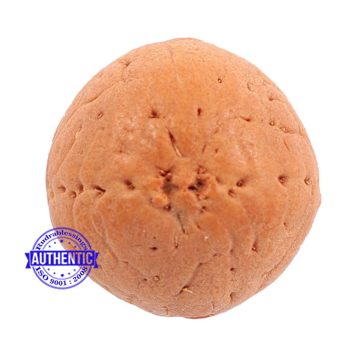 2 Line Buddha Chitta - Bead No. 3