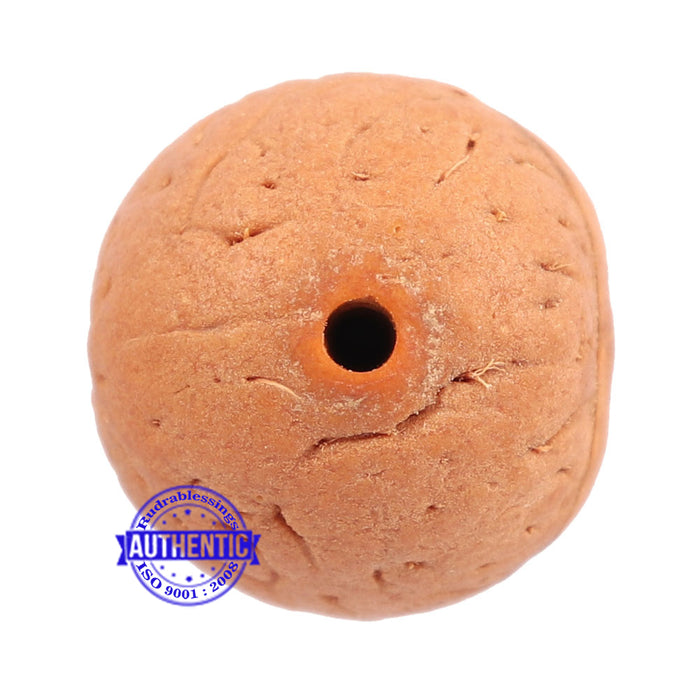 2 Line Buddha Chitta - Bead No. 3