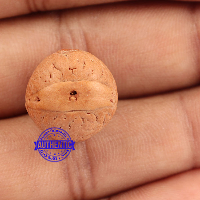 2 Line Buddha Chitta - Bead No. 3