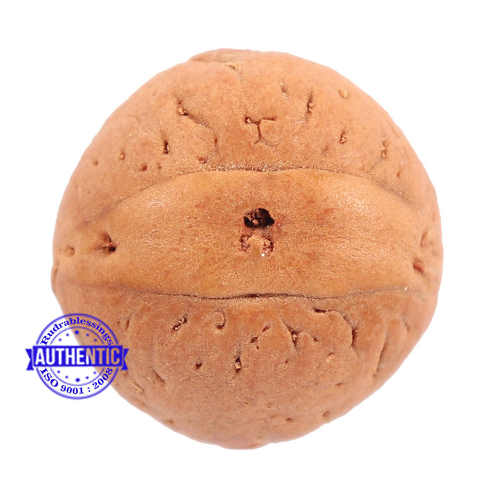 2 Line Buddha Chitta - Bead No. 3