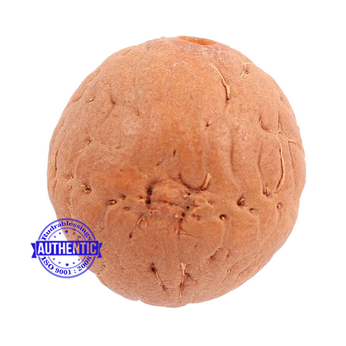 2 Line Buddha Chitta - Bead No. 4