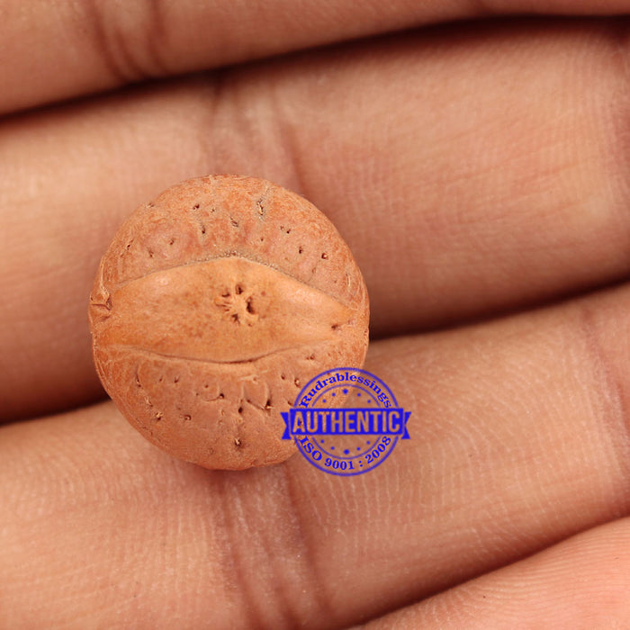 2 Line Buddha Chitta - Bead No. 4