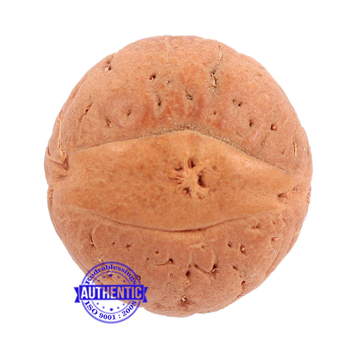 2 Line Buddha Chitta - Bead No. 4