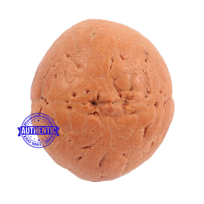 2 Line Buddha Chitta - Bead No. 5