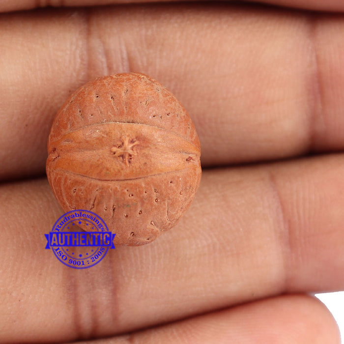 2 Line Buddha Chitta - Bead No. 5