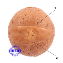 Load image into Gallery viewer, 2 Line Buddha Chitta - Bead No. 6
