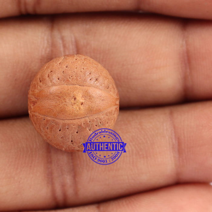 2 Line Buddha Chitta - Bead No. 6