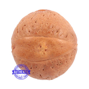 2 Line Buddha Chitta - Bead No. 6