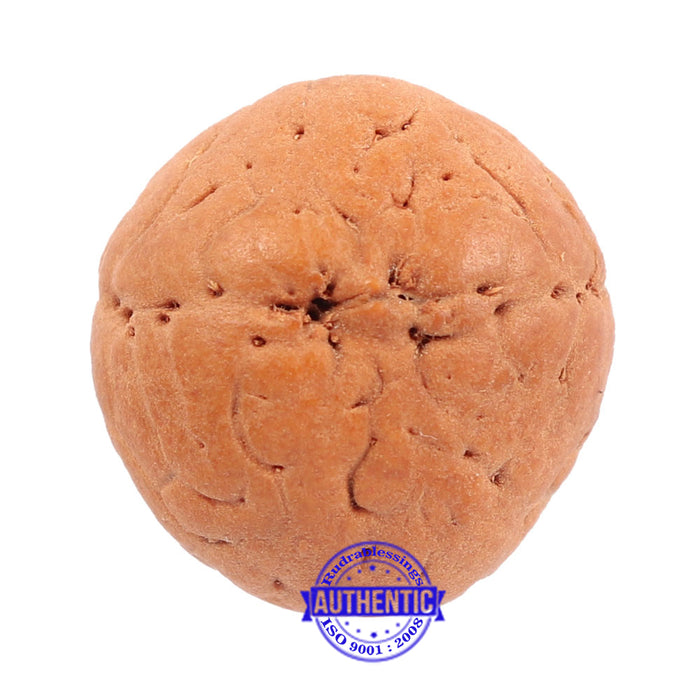 2 Line Buddha Chitta - Bead No. 7