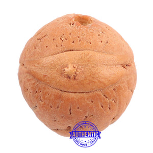 2 Line Buddha Chitta - Bead No. 7