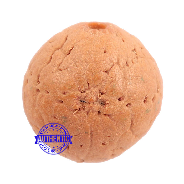 2 Line Buddha Chitta - Bead No. 8