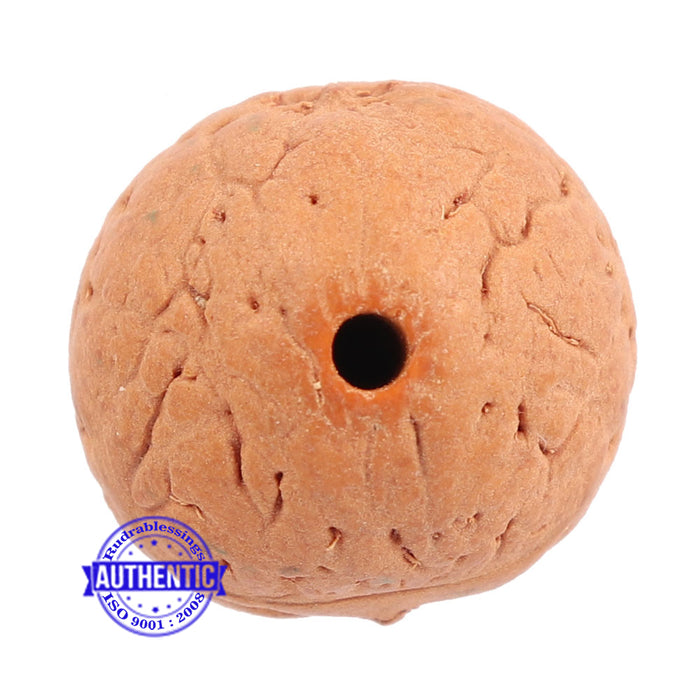 2 Line Buddha Chitta - Bead No. 8