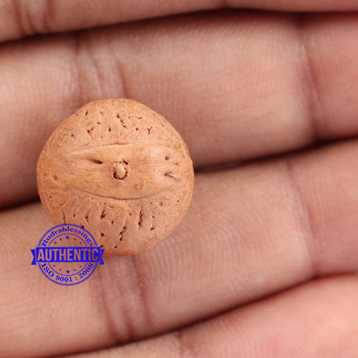 2 Line Buddha Chitta - Bead No. 8