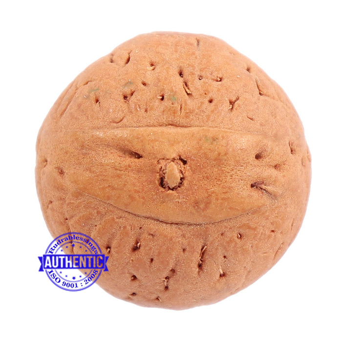 2 Line Buddha Chitta - Bead No. 8