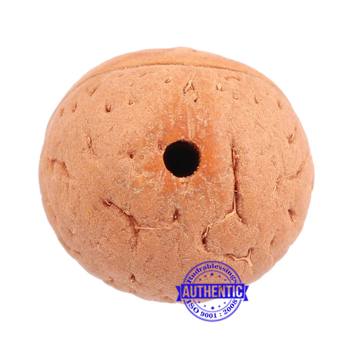 2 Line Buddha Chitta - Bead No. 9