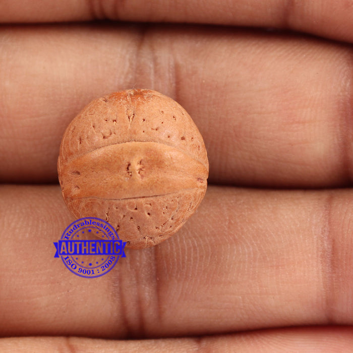 2 Line Buddha Chitta - Bead No. 9