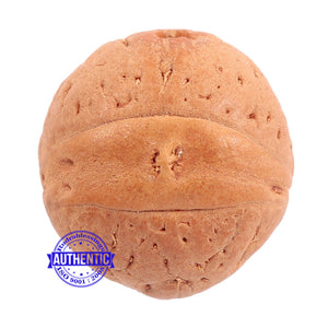 2 Line Buddha Chitta - Bead No. 9