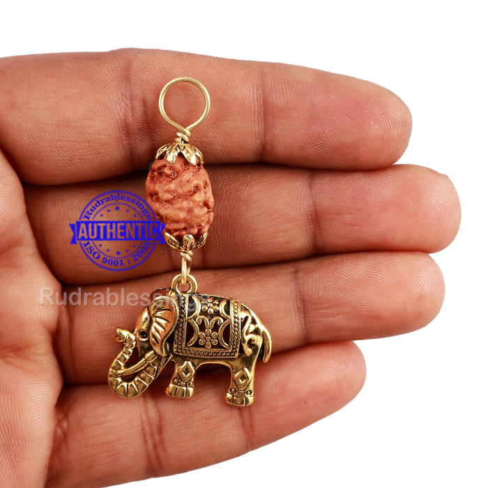 2 Mukhi Indonesian Rudraksha with Lucky Charm Elephant Pendant