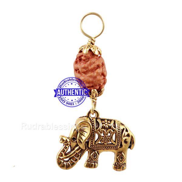 2 Mukhi Indonesian Rudraksha with Lucky Charm Elephant Pendant