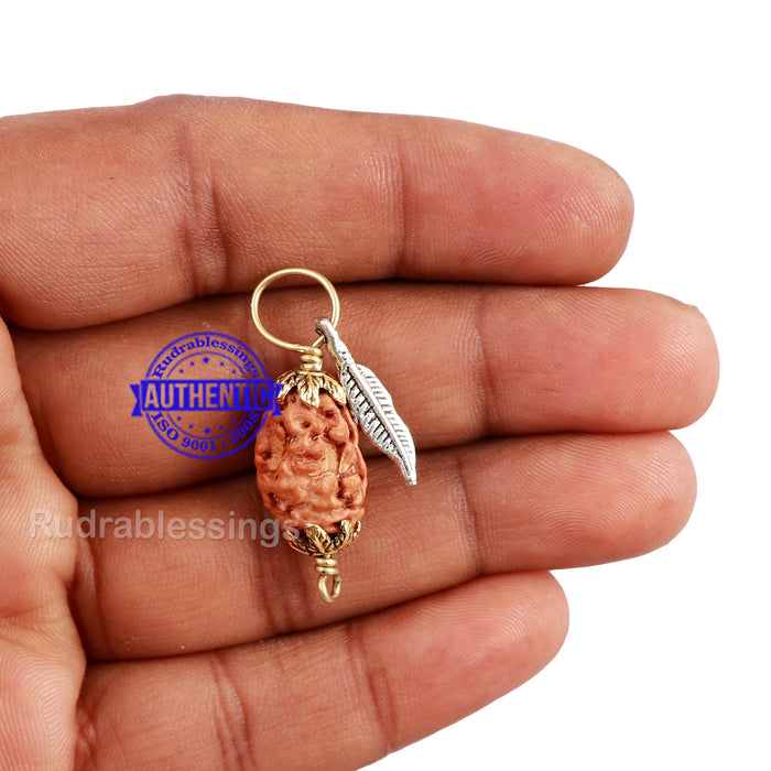 2 Mukhi Indonesian Rudraksha with Lucky Charm Feather Pendant